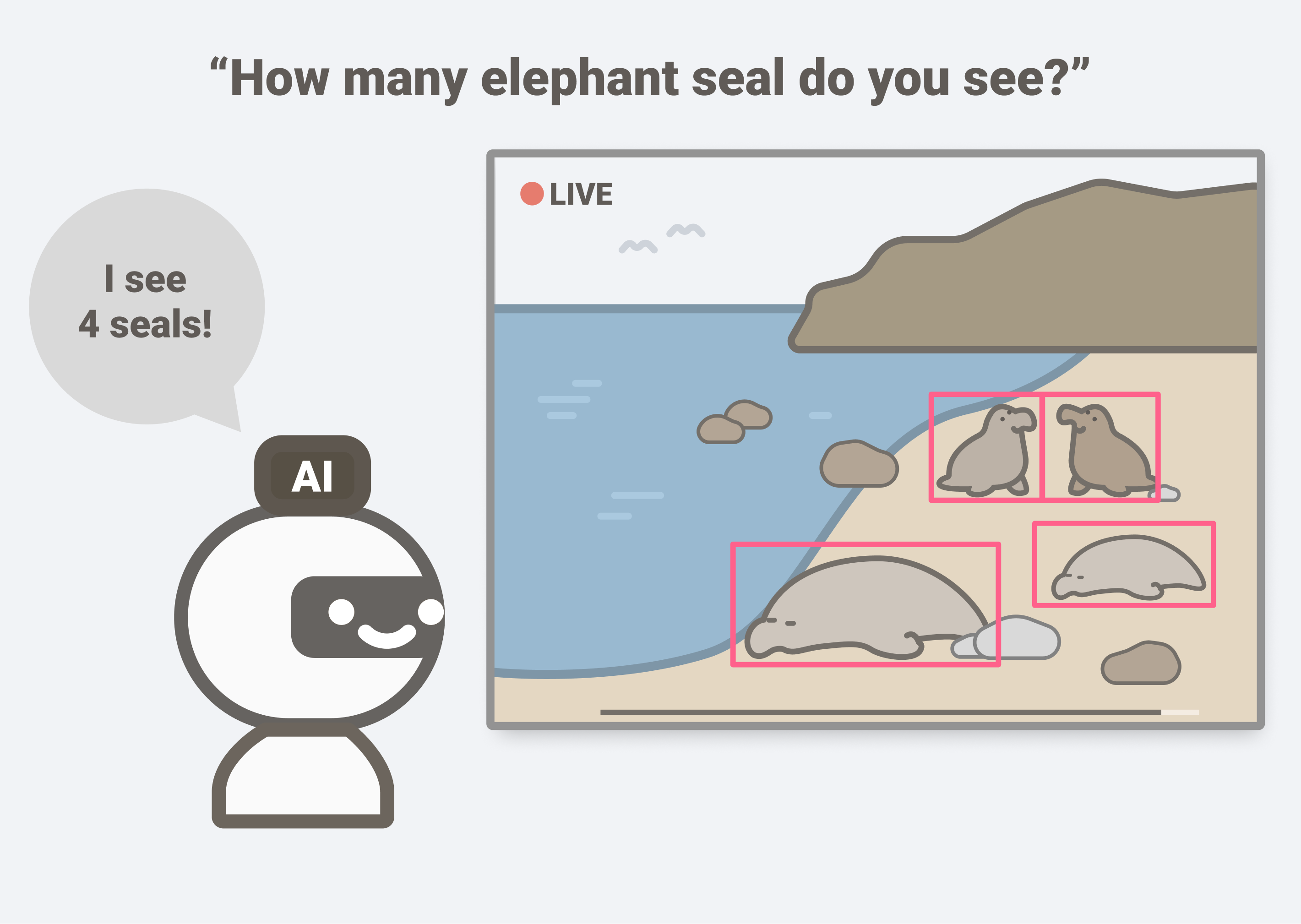 AI Learning to identify seals