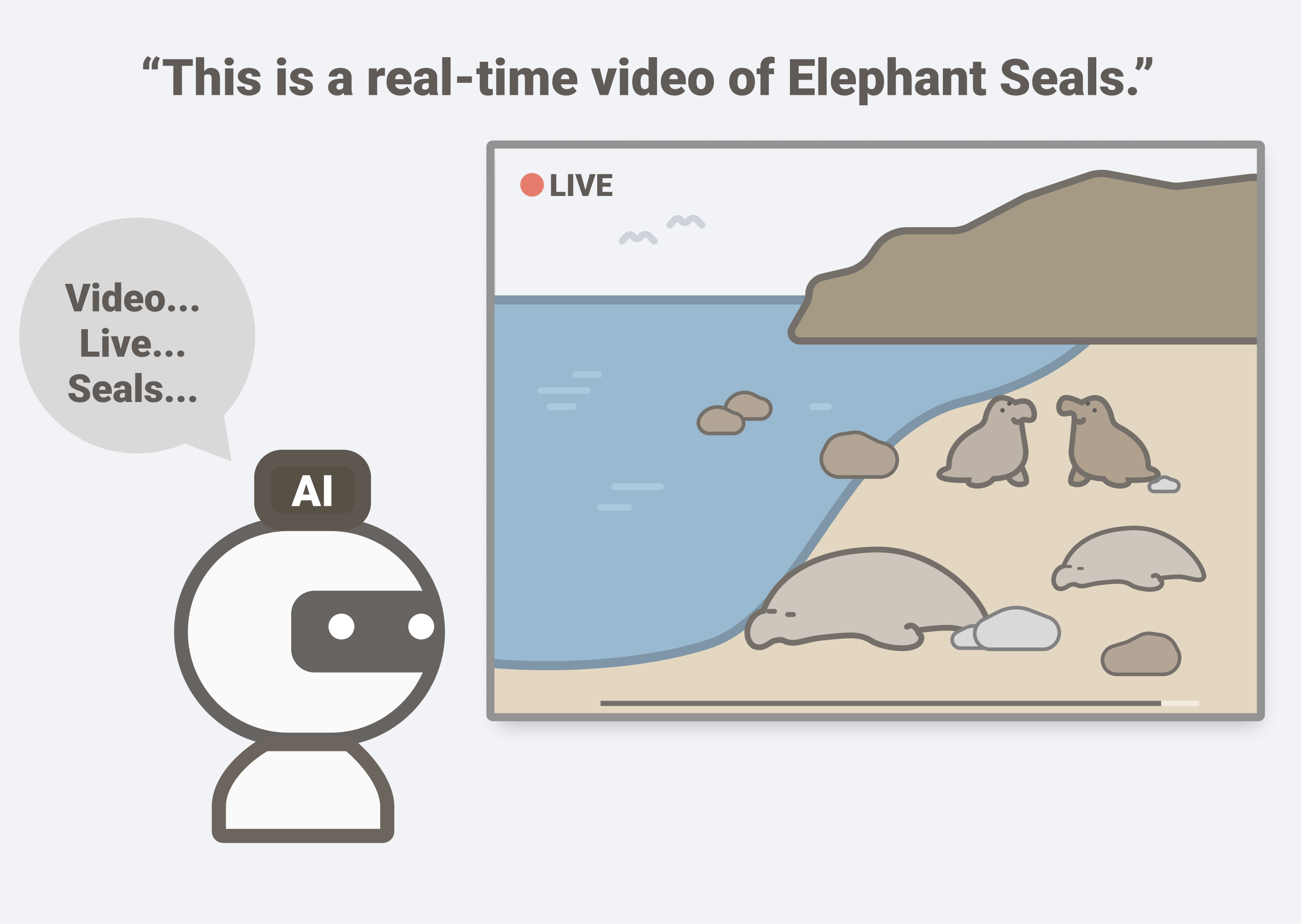 AI Learning to identify seals