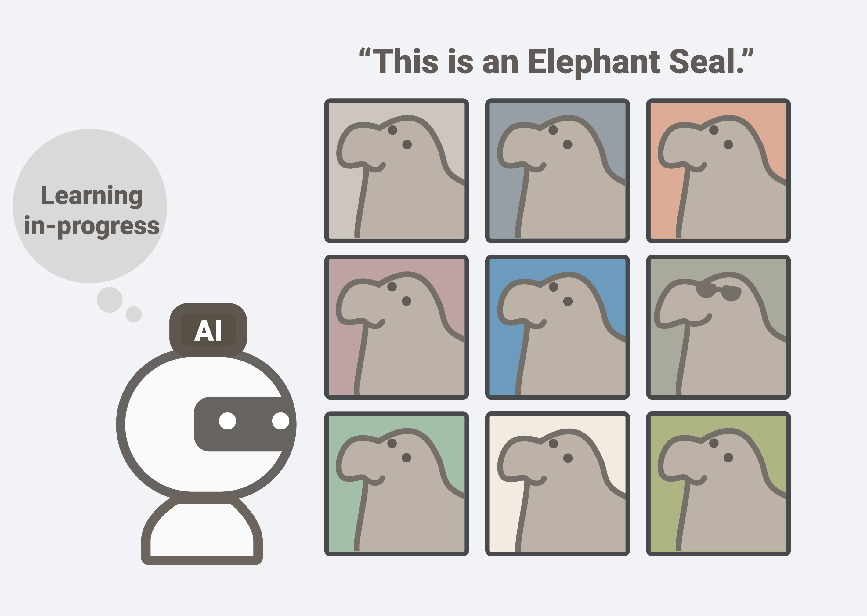 AI Learning to identify seals