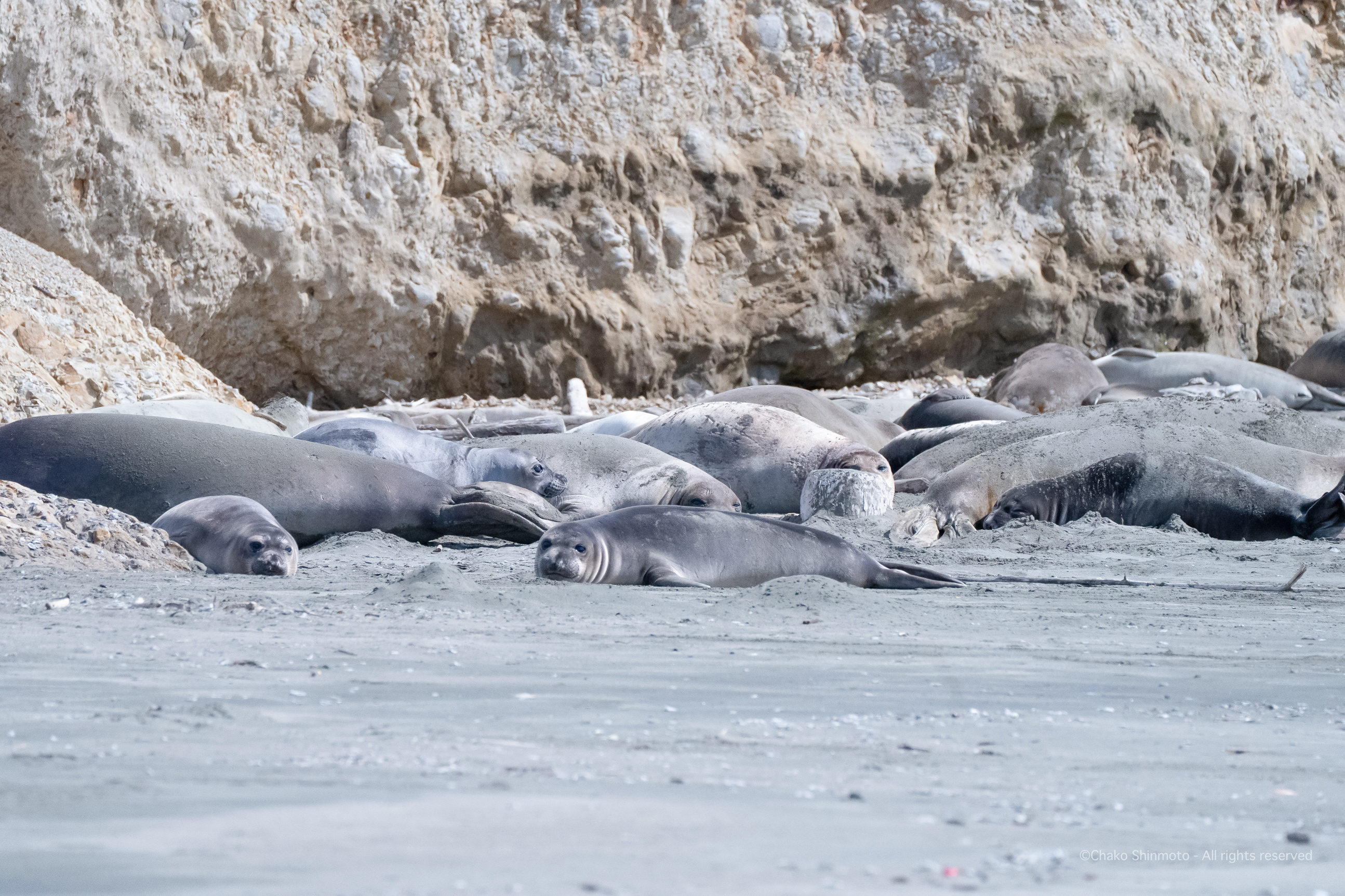 Drakes Beach Location Photo